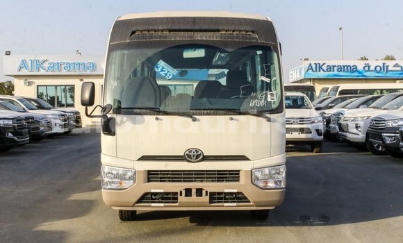 Buy Import Toyota Coaster White Car in Import - Dubai in Adrar Buy Import Toyota Coaster White Car in Import - Dubai in Adrar
