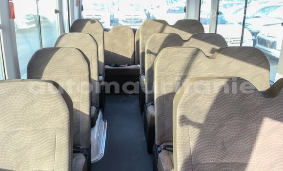 Buy Import Toyota Coaster White Car in Import - Dubai in Adrar Buy Import Toyota Coaster White Car in Import - Dubai in Adrar
