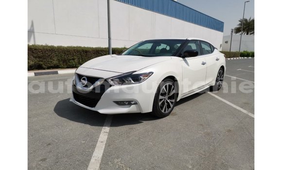 Buy Import Nissan Maxima White Car in Import - Dubai in Adrar Buy Import Nissan Maxima White Car in Import - Dubai in Adrar