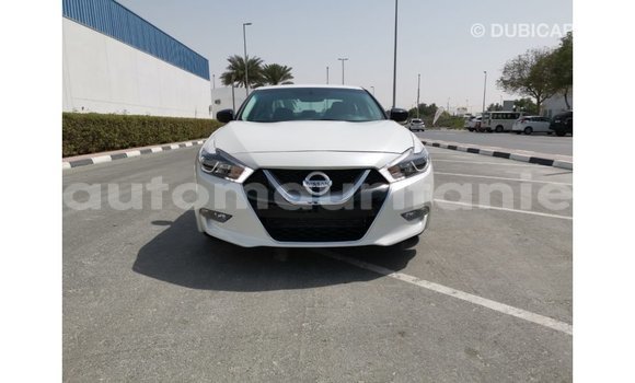 Buy Import Nissan Maxima White Car in Import - Dubai in Adrar Buy Import Nissan Maxima White Car in Import - Dubai in Adrar