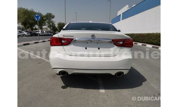 Buy Import Nissan Maxima White Car in Import - Dubai in Adrar Buy Import Nissan Maxima White Car in Import - Dubai in Adrar