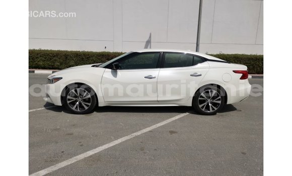 Buy Import Nissan Maxima White Car in Import - Dubai in Adrar Buy Import Nissan Maxima White Car in Import - Dubai in Adrar