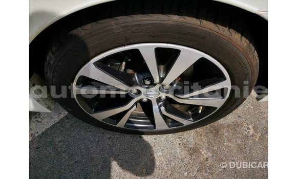 Buy Import Nissan Maxima White Car in Import - Dubai in Adrar Buy Import Nissan Maxima White Car in Import - Dubai in Adrar