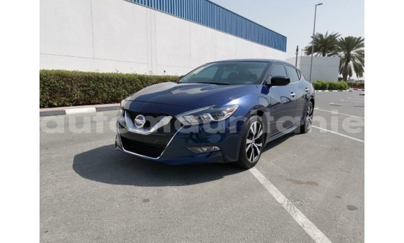Buy Import Nissan Maxima Blue Car in Import - Dubai in Adrar Buy Import Nissan Maxima Blue Car in Import - Dubai in Adrar