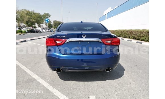 Buy Import Nissan Maxima Blue Car in Import - Dubai in Adrar Buy Import Nissan Maxima Blue Car in Import - Dubai in Adrar