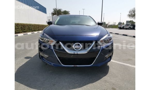 Buy Import Nissan Maxima Blue Car in Import - Dubai in Adrar Buy Import Nissan Maxima Blue Car in Import - Dubai in Adrar