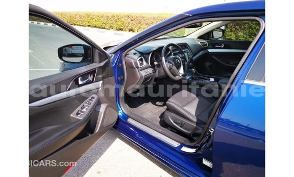 Buy Import Nissan Maxima Blue Car in Import - Dubai in Adrar Buy Import Nissan Maxima Blue Car in Import - Dubai in Adrar