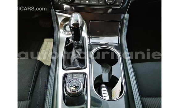 Buy Import Nissan Maxima Blue Car in Import - Dubai in Adrar Buy Import Nissan Maxima Blue Car in Import - Dubai in Adrar