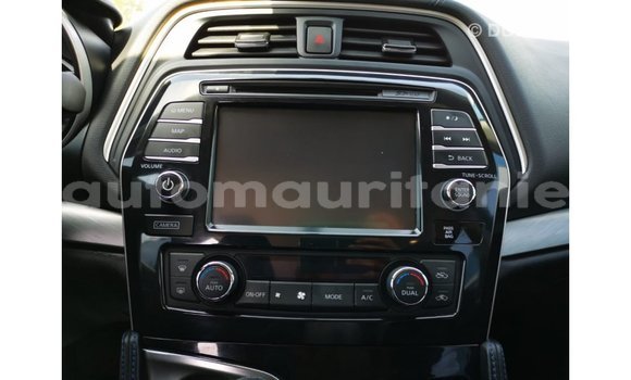 Buy Import Nissan Maxima Blue Car in Import - Dubai in Adrar Buy Import Nissan Maxima Blue Car in Import - Dubai in Adrar