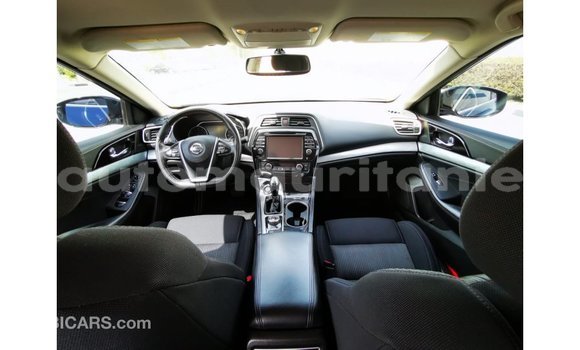 Buy Import Nissan Maxima Blue Car in Import - Dubai in Adrar Buy Import Nissan Maxima Blue Car in Import - Dubai in Adrar