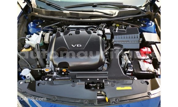 Buy Import Nissan Maxima Blue Car in Import - Dubai in Adrar Buy Import Nissan Maxima Blue Car in Import - Dubai in Adrar