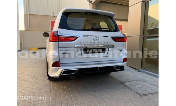 Buy Import Lexus LX White Car in Import - Dubai in Adrar Buy Import Lexus LX White Car in Import - Dubai in Adrar