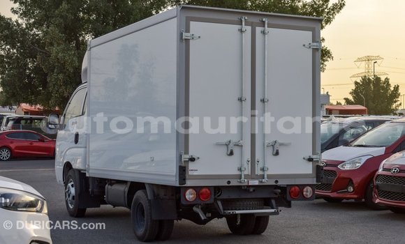 Acheter Import Voiture Kia K3 Blanc à Import - Dubai, Adrar Acheter Import Voiture Kia K3 Blanc à Import - Dubai, Adrar