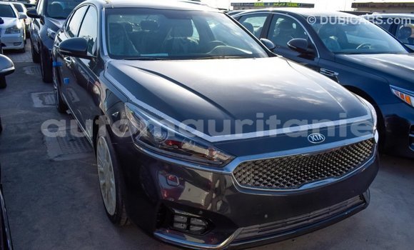 Acheter Import Voiture Kia Cadenza Autre à Import - Dubai, Adrar Acheter Import Voiture Kia Cadenza Autre à Import - Dubai, Adrar