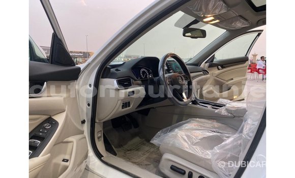 Acheter Import Moto Honda T Blanc à Import - Dubai, Adrar Acheter Import Moto Honda T Blanc à Import - Dubai, Adrar