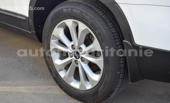 Acheter Import Voiture Kia Sorento Blanc à Import - Dubai, Adrar