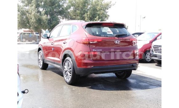 Acheter Import Voiture Hyundai Tucson Rouge à Import - Dubai, Adrar Acheter Import Voiture Hyundai Tucson Rouge à Import - Dubai, Adrar