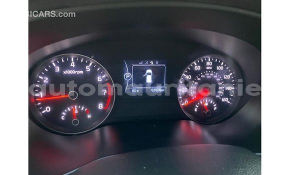 Acheter Import Voiture Kia Sportage Blanc à Import - Dubai, Adrar Acheter Import Voiture Kia Sportage Blanc à Import - Dubai, Adrar