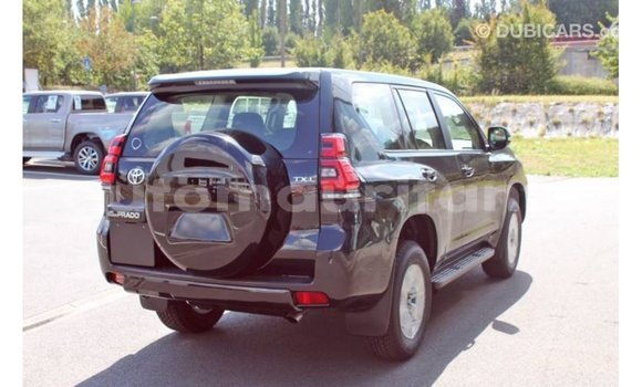 Acheter Import Voiture Toyota Hilux Noir à Import - Dubai, Adrar Acheter Import Voiture Toyota Hilux Noir à Import - Dubai, Adrar