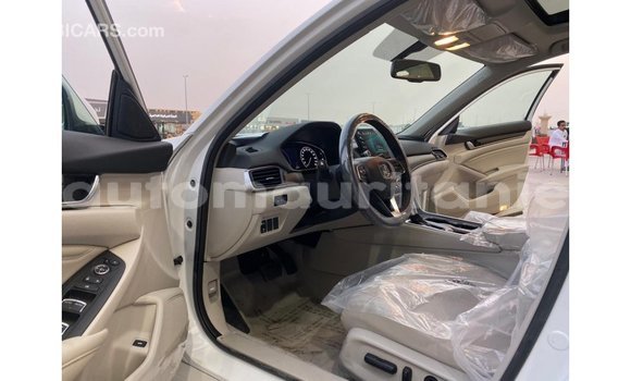 Acheter Import Moto Honda T Blanc à Import - Dubai, Adrar Acheter Import Moto Honda T Blanc à Import - Dubai, Adrar
