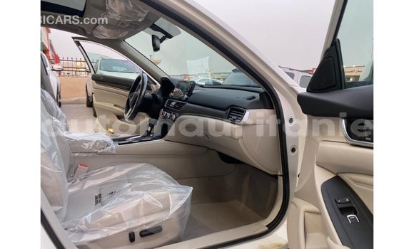 Acheter Import Moto Honda T Blanc à Import - Dubai, Adrar Acheter Import Moto Honda T Blanc à Import - Dubai, Adrar