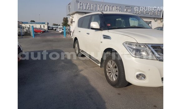 Acheter Import Voiture Nissan Patrol Blanc à Import - Dubai, Adrar Acheter Import Voiture Nissan Patrol Blanc à Import - Dubai, Adrar