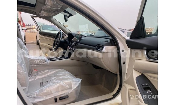 Acheter Import Moto Honda T Blanc à Import - Dubai, Adrar Acheter Import Moto Honda T Blanc à Import - Dubai, Adrar