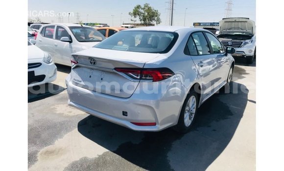 Acheter Import Voiture Toyota Corolla Blanc à Import - Dubai, Adrar Acheter Import Voiture Toyota Corolla Blanc à Import - Dubai, Adrar