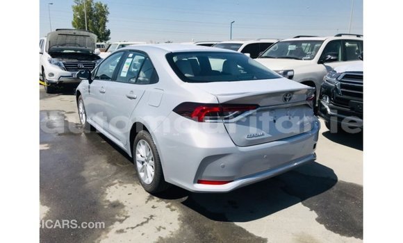 Acheter Import Voiture Toyota Corolla Blanc à Import - Dubai, Adrar Acheter Import Voiture Toyota Corolla Blanc à Import - Dubai, Adrar