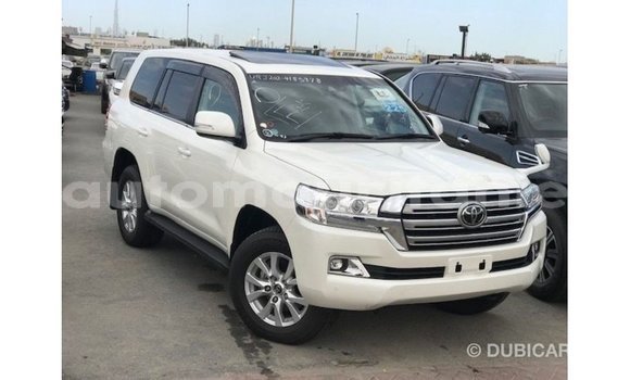 Acheter Import Voiture Toyota Land Cruiser Blanc à Import - Dubai, Adrar Acheter Import Voiture Toyota Land Cruiser Blanc à Import - Dubai, Adrar