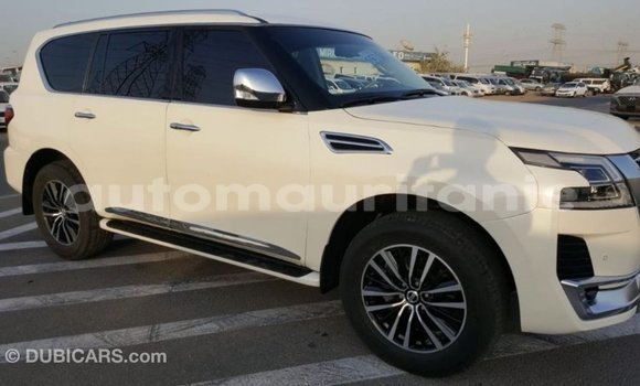 Acheter Import Voiture Nissan Patrol Blanc à Import - Dubai, Adrar Acheter Import Voiture Nissan Patrol Blanc à Import - Dubai, Adrar