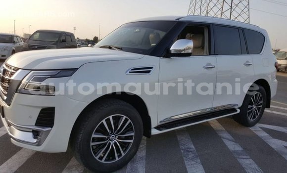 Acheter Import Voiture Nissan Patrol Blanc à Import - Dubai, Adrar Acheter Import Voiture Nissan Patrol Blanc à Import - Dubai, Adrar