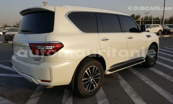 Acheter Import Voiture Nissan Patrol Blanc à Import - Dubai, Adrar Acheter Import Voiture Nissan Patrol Blanc à Import - Dubai, Adrar