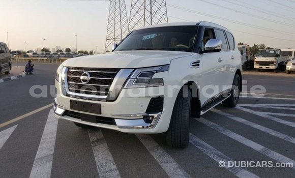Acheter Import Voiture Nissan Patrol Blanc à Import - Dubai, Adrar Acheter Import Voiture Nissan Patrol Blanc à Import - Dubai, Adrar