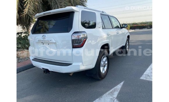 Buy Import Toyota HiAce White Truck in Import - Dubai in Adrar Buy Import Toyota HiAce White Truck in Import - Dubai in Adrar