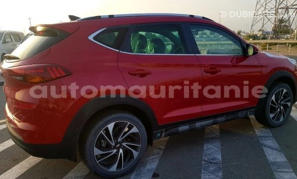 Acheter Import Voiture Hyundai Tucson Rouge à Import - Dubai, Adrar Acheter Import Voiture Hyundai Tucson Rouge à Import - Dubai, Adrar