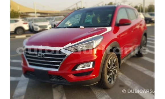 Acheter Import Voiture Hyundai Tucson Rouge à Import - Dubai, Adrar Acheter Import Voiture Hyundai Tucson Rouge à Import - Dubai, Adrar