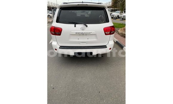 Buy Import Toyota Sequoia White Car in Import - Dubai in Adrar Buy Import Toyota Sequoia White Car in Import - Dubai in Adrar