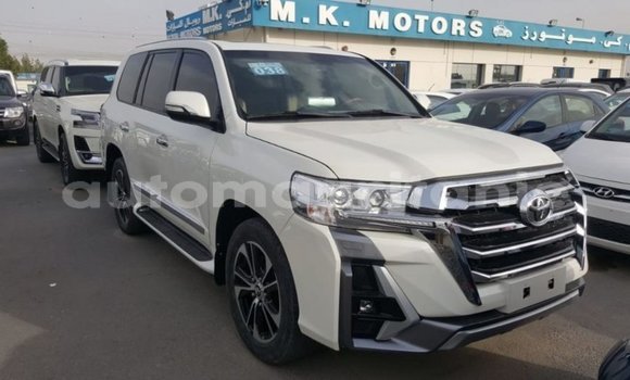 Acheter Import Voiture Toyota Land Cruiser Blanc à Import - Dubai, Adrar Acheter Import Voiture Toyota Land Cruiser Blanc à Import - Dubai, Adrar