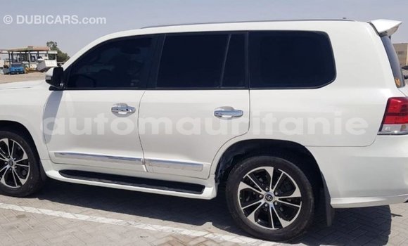 Acheter Import Voiture Toyota Land Cruiser Blanc à Import - Dubai, Adrar Acheter Import Voiture Toyota Land Cruiser Blanc à Import - Dubai, Adrar