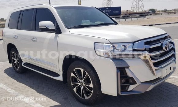 Acheter Import Voiture Toyota Land Cruiser Blanc à Import - Dubai, Adrar Acheter Import Voiture Toyota Land Cruiser Blanc à Import - Dubai, Adrar