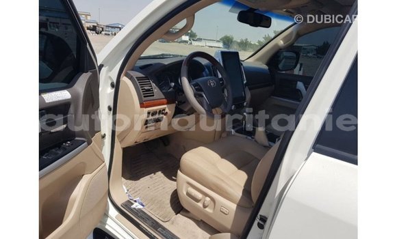 Acheter Import Voiture Toyota Land Cruiser Blanc à Import - Dubai, Adrar Acheter Import Voiture Toyota Land Cruiser Blanc à Import - Dubai, Adrar