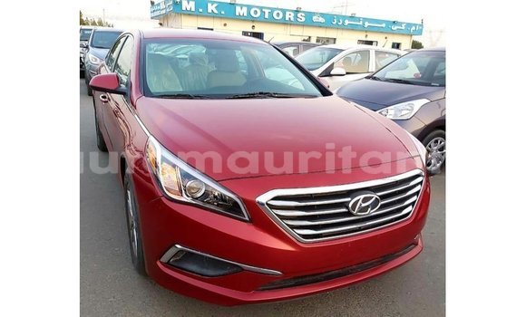 Acheter Import Voiture Hyundai Sonata Rouge à Import - Dubai, Adrar Acheter Import Voiture Hyundai Sonata Rouge à Import - Dubai, Adrar