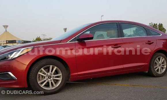 Acheter Import Voiture Hyundai Sonata Rouge à Import - Dubai, Adrar Acheter Import Voiture Hyundai Sonata Rouge à Import - Dubai, Adrar