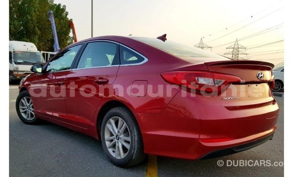 Acheter Import Voiture Hyundai Sonata Rouge à Import - Dubai, Adrar Acheter Import Voiture Hyundai Sonata Rouge à Import - Dubai, Adrar