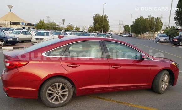 Acheter Import Voiture Hyundai Sonata Rouge à Import - Dubai, Adrar Acheter Import Voiture Hyundai Sonata Rouge à Import - Dubai, Adrar