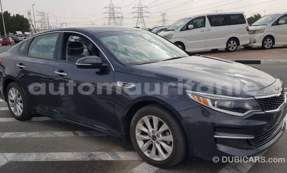 Acheter Import Voiture Kia Optima Autre à Import - Dubai, Adrar Acheter Import Voiture Kia Optima Autre à Import - Dubai, Adrar