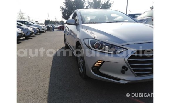 Buy Import Hyundai Elantra Other Car in Import - Dubai in Adrar Buy Import Hyundai Elantra Other Car in Import - Dubai in Adrar