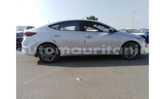 Buy Import Hyundai Elantra Other Car in Import - Dubai in Adrar Buy Import Hyundai Elantra Other Car in Import - Dubai in Adrar