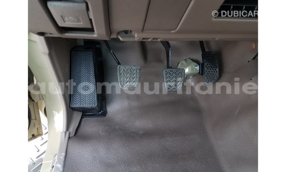 Acheter Import Voiture Toyota Land Cruiser Beige à Import - Dubai, Adrar Acheter Import Voiture Toyota Land Cruiser Beige à Import - Dubai, Adrar